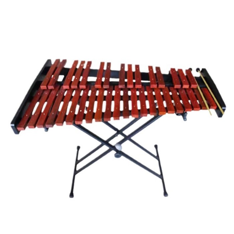 37 toni xilofono metallo bambi - Musical Instrument Glockenspiel recensione e prezzo