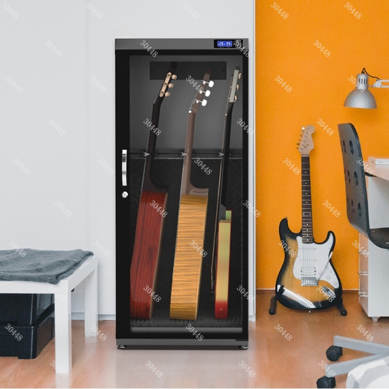 Armadio asciutto intelligente  - Musical Instrument Guitar recensione e prezzo
