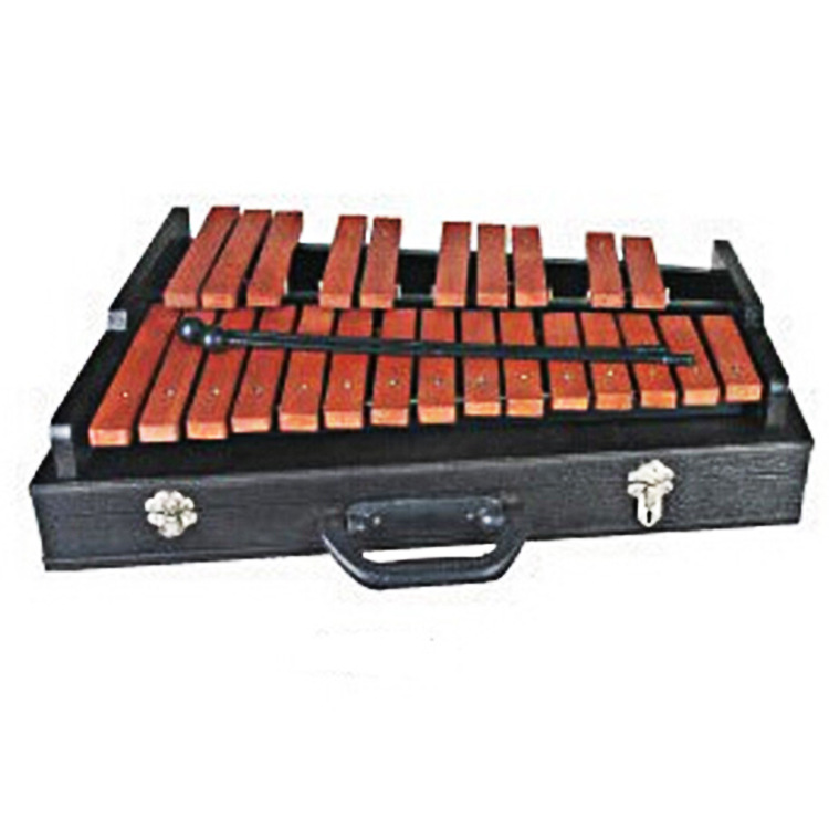 Xilofono a 25 note, Xilofono i - Musical Instrument Glockenspiel recensione e prezzo