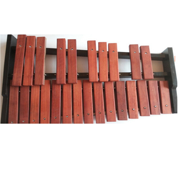 Xilofono a 25 note, Xilofono i - Musical Instrument Glockenspiel recensione e prezzo