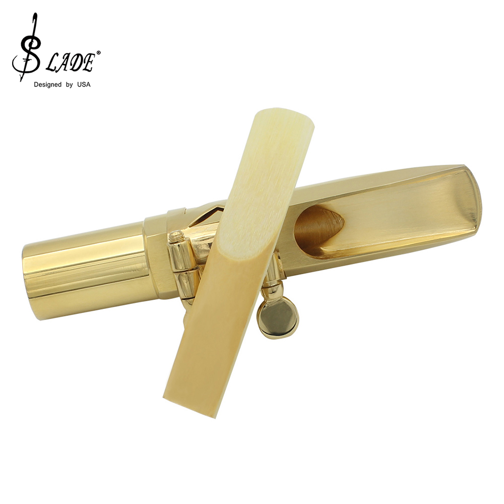 Ance per Sassofono Tenore SLAD - Musical Instrument Oboe recensione e prezzo