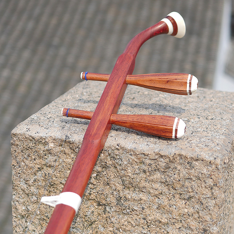 Professionale Dunhuang Marca 0 - Musical Instrument All recensione e prezzo