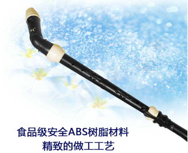 Clarinetto professionale in re - Recorder Baroque Style recensione e prezzo
