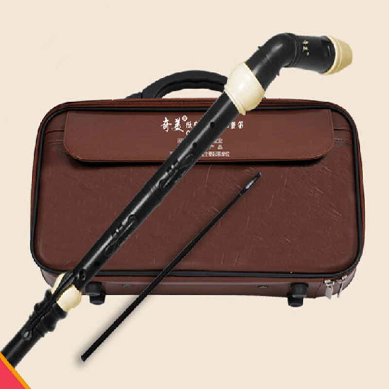 Clarinetto professionale in re - Recorder Baroque Style recensione e prezzo