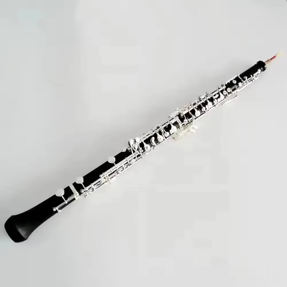 Oboe in bachelite placcato arg - Musical Instrument Oboe recensione e prezzo