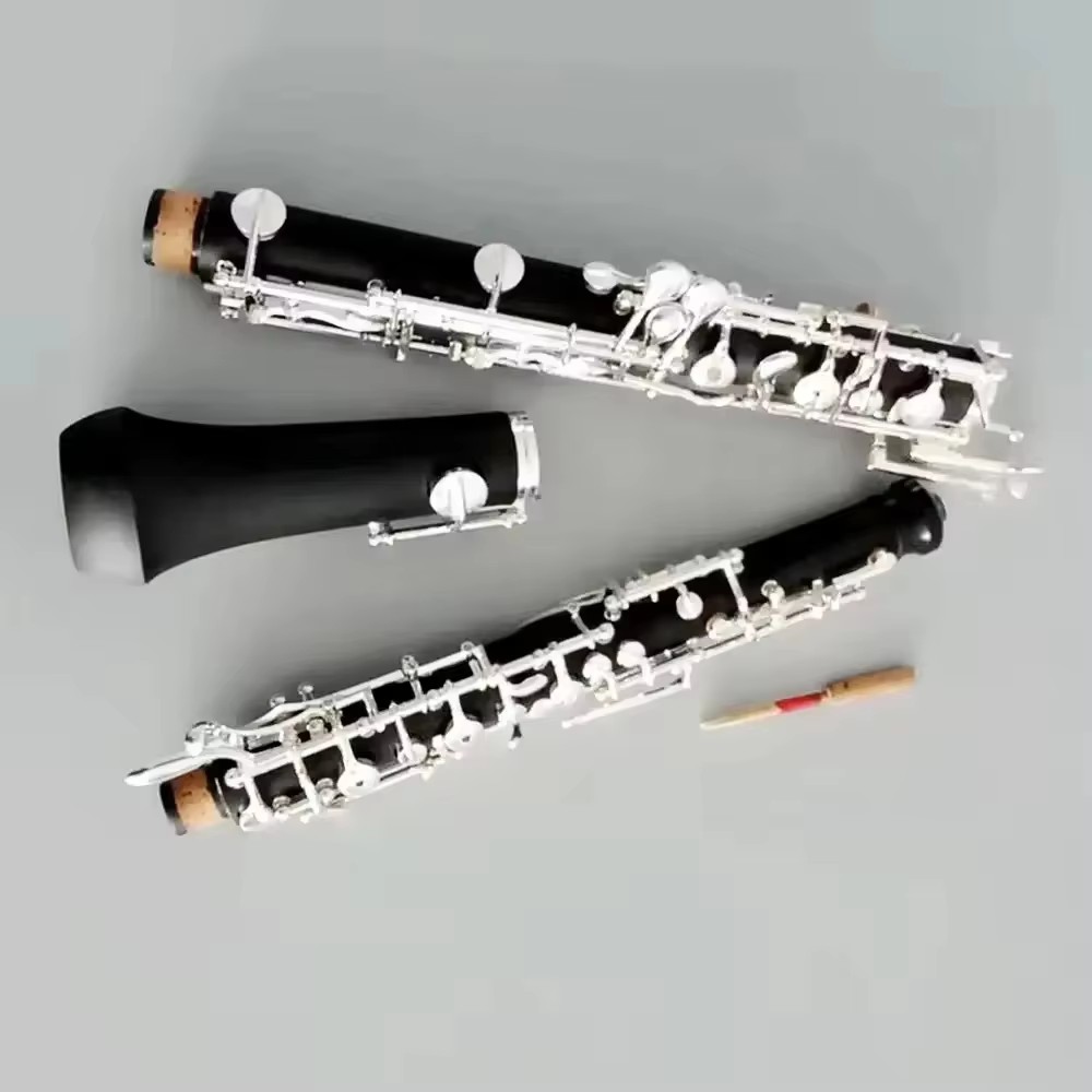 Oboe in bachelite placcato arg - Musical Instrument Oboe recensione e prezzo