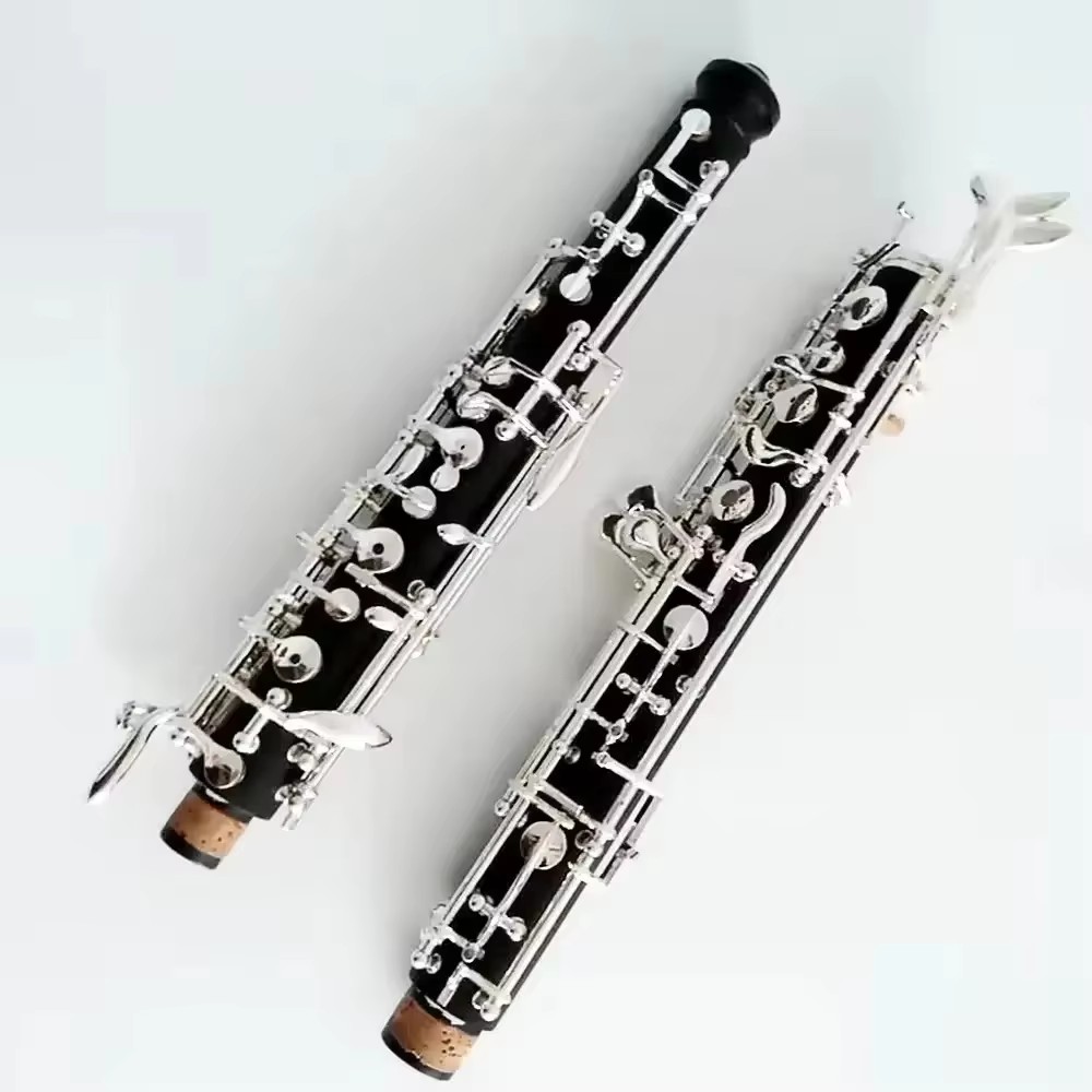 Oboe in bachelite placcato arg - Musical Instrument Oboe recensione e prezzo