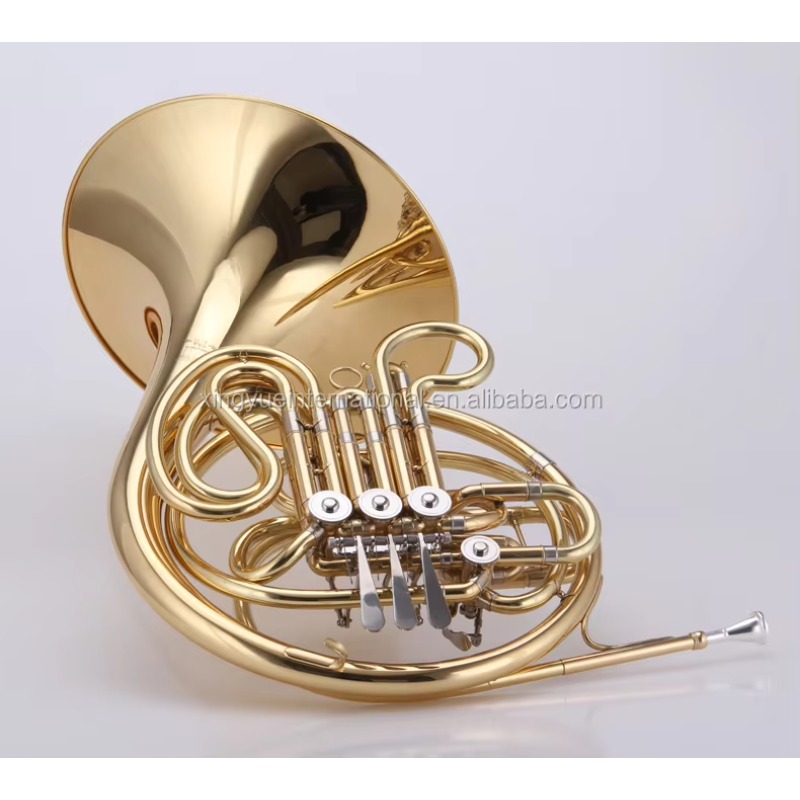 Strumenti musicali professiona - Musical Instrument French recensione e prezzo