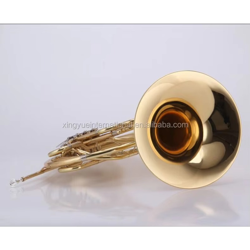 Strumenti musicali professiona - Musical Instrument French recensione e prezzo