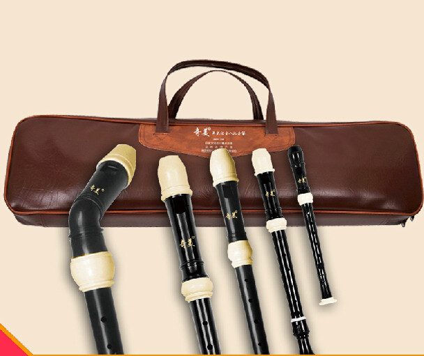 Set Completo di Flauti in Resi - Recorder Baroque Style recensione e prezzo