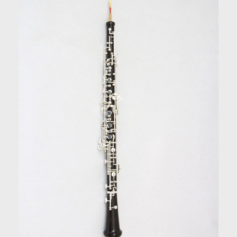 Oboe in Legno d'Ebano Placcato - Musical Instrument Oboe recensione e prezzo