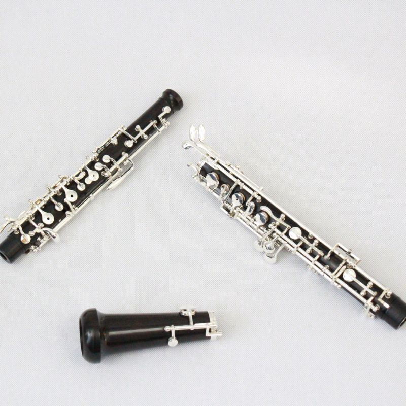 Oboe in Legno d'Ebano Placcato - Musical Instrument Oboe recensione e prezzo