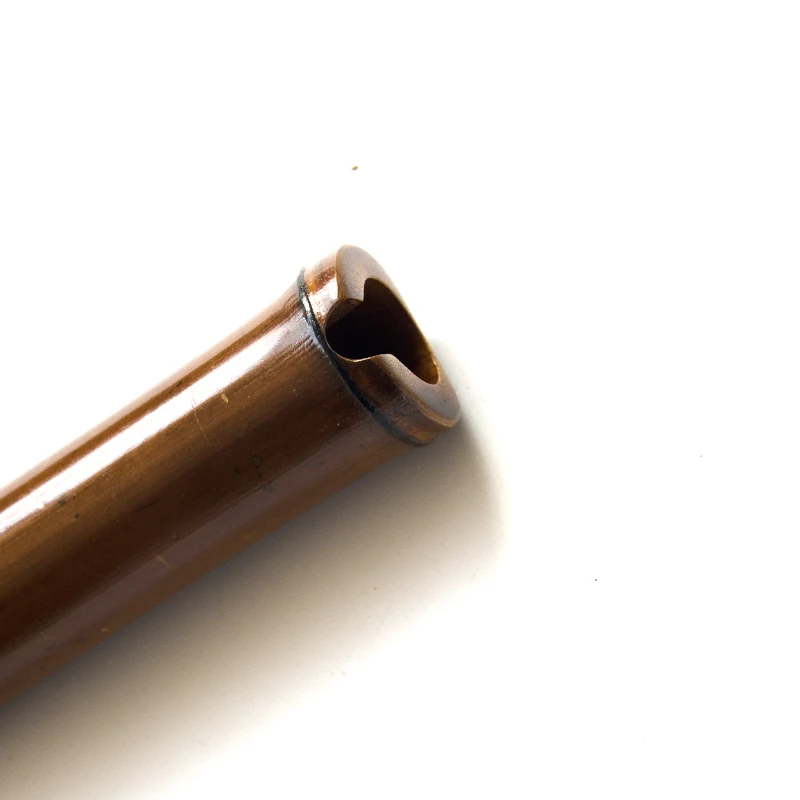YPXD Professional Nan Xiao fla - Shakuhachi Bamboo Flute recensione e prezzo